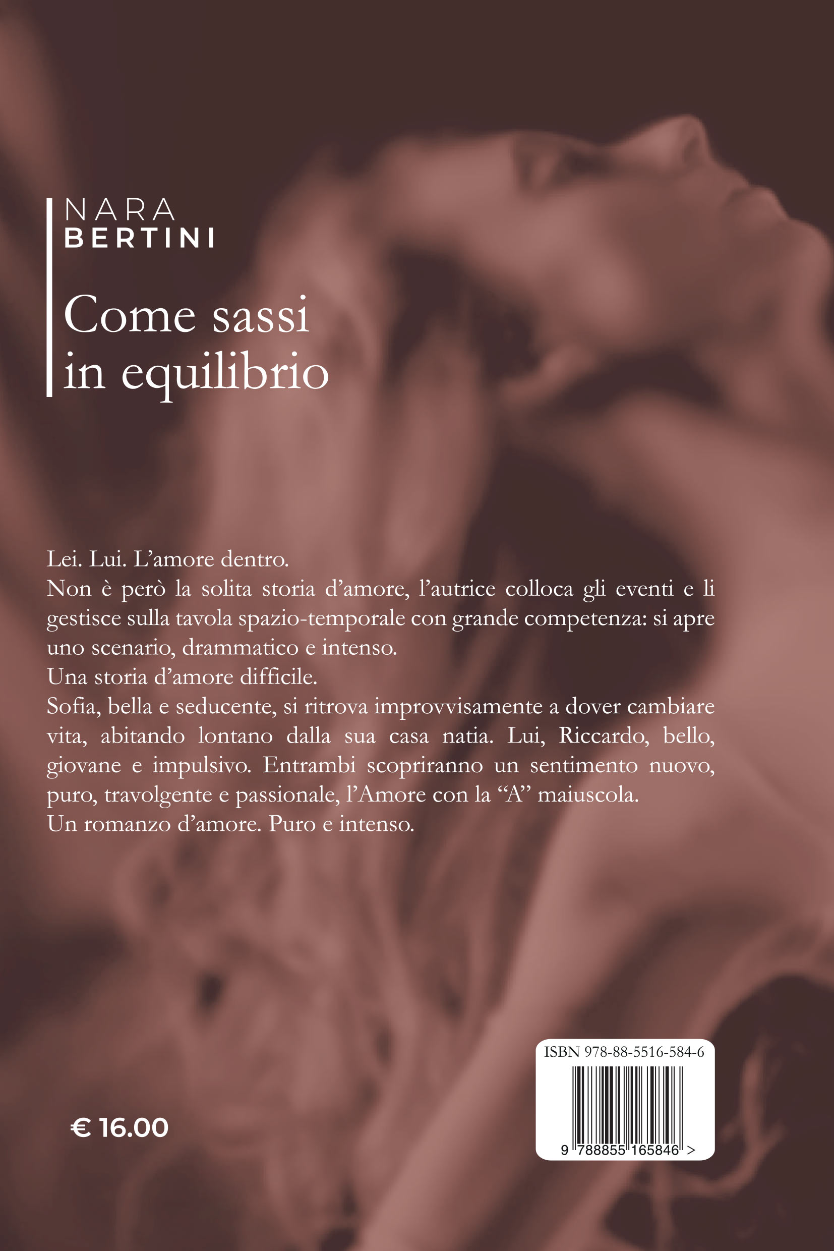 Quarta di copertina di Come sassi in equilibrio