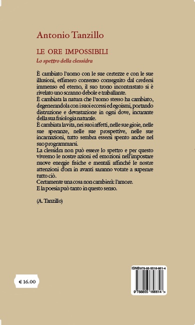 Quarta di copertina di Le ore impossibili