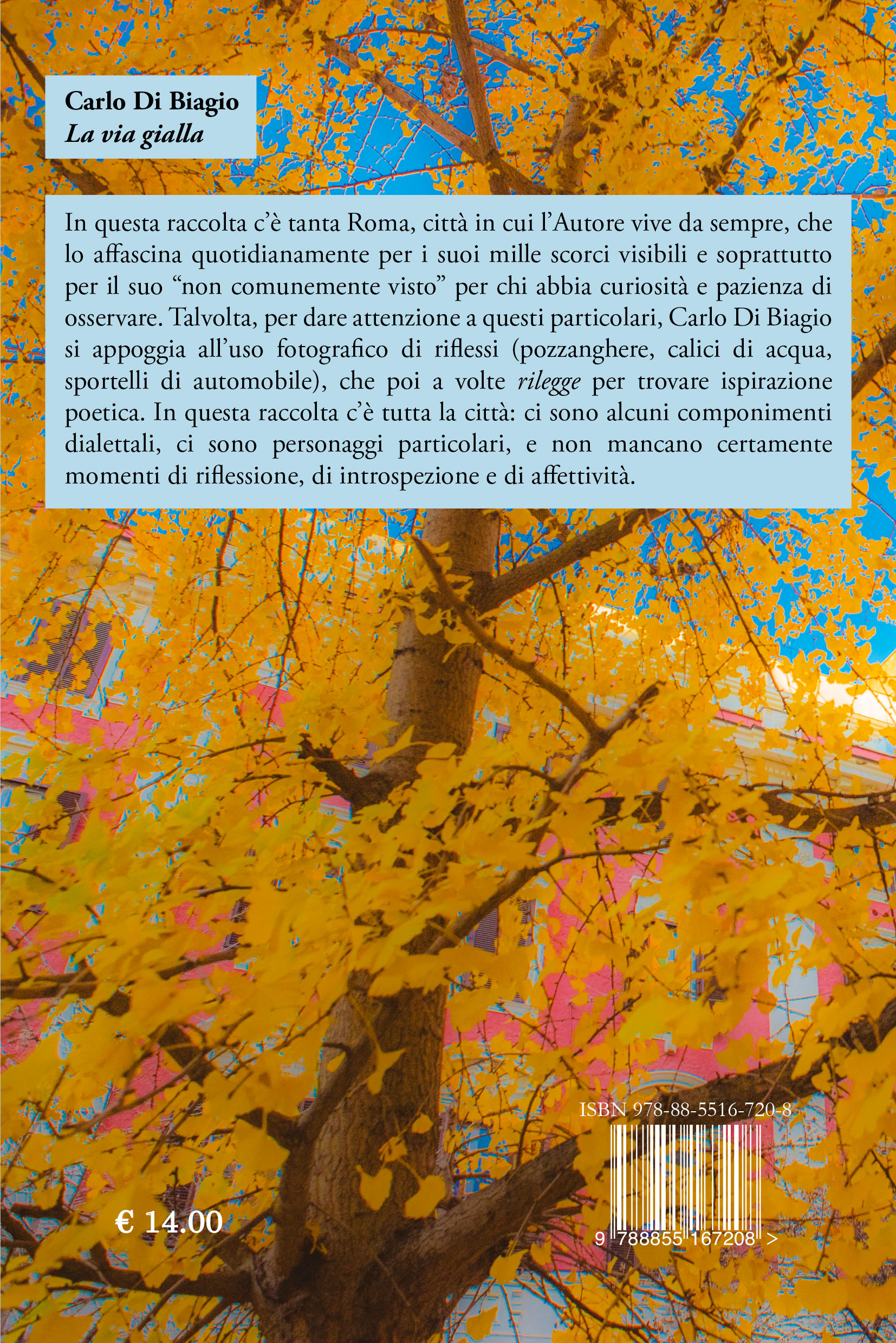 Quarta di copertina di La via gialla