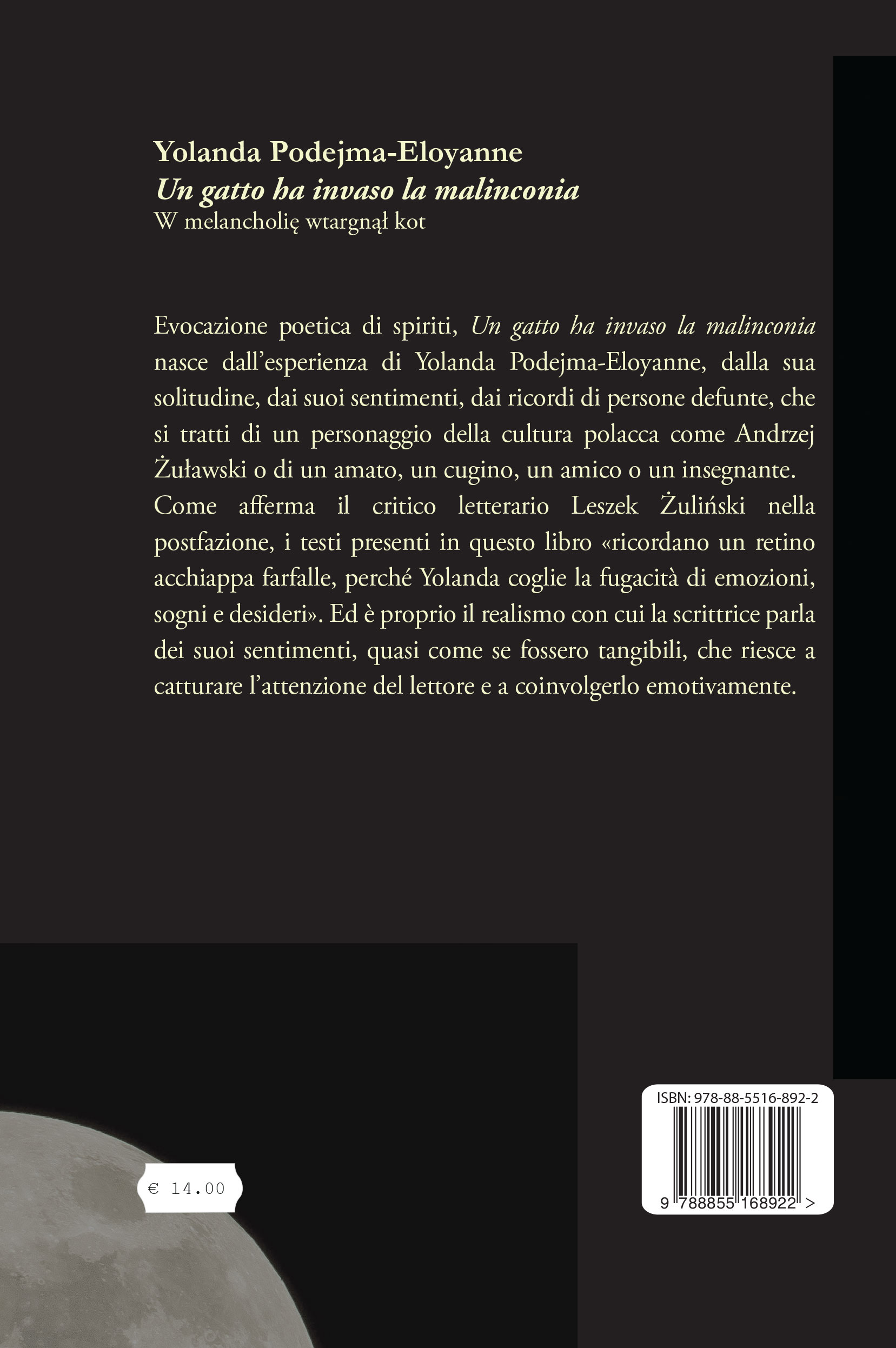 Quarta di copertina di Un gatto ha invaso la malinconia