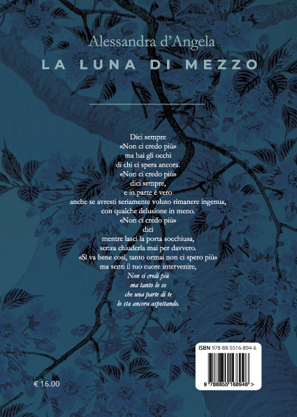 Quarta di copertina di La luna di mezzo
