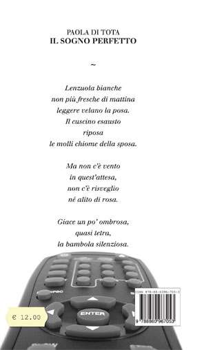 Quarta di copertina di Il sogno perfetto