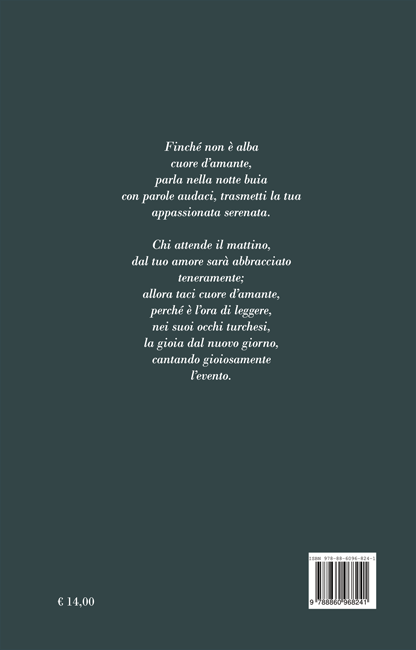 Quarta di copertina di Il drago Ratin