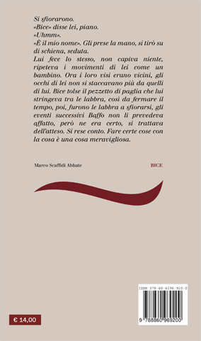 Quarta di copertina di Bice