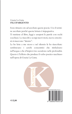 Quarta di copertina di Fili d'argento
