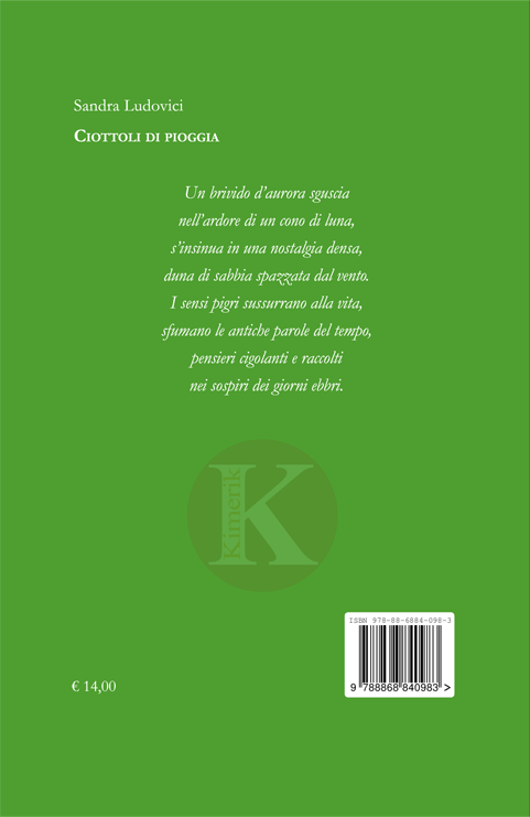 Quarta di copertina di Ciottoli di pioggia
