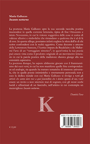 Quarta di copertina di Incanto notturno
