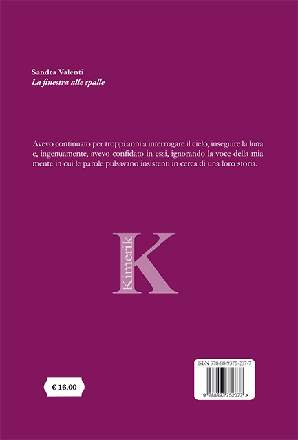 Quarta di copertina di La finestra alle spalle