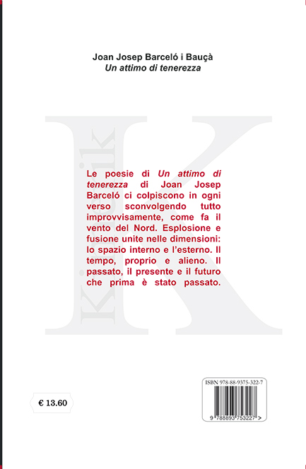 Quarta di copertina di Un attimo di tenerezza