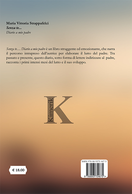 Quarta di copertina di Senza te... Diario a mio padre