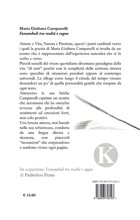Quarta di copertina di Funamboli tra realtà e sogno