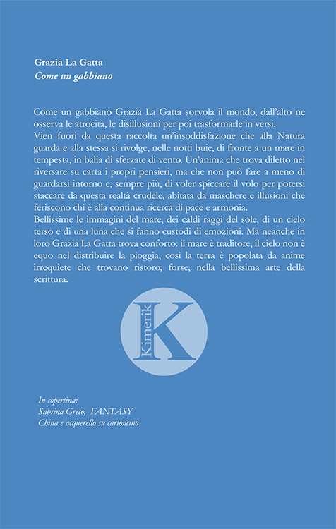 Quarta di copertina di Come un gabbiano