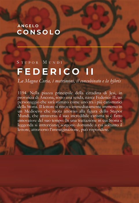 Quarta di copertina di Stupor Mundi Federico II
