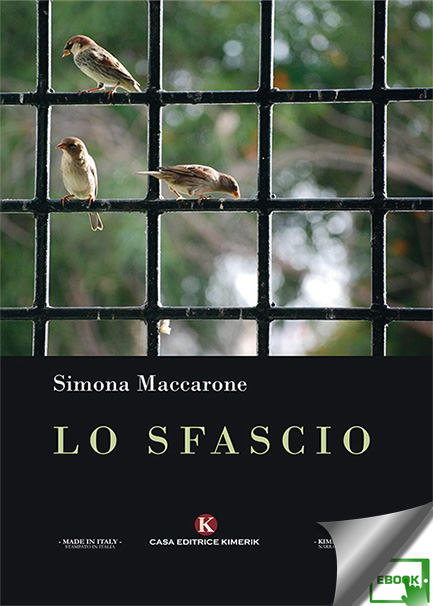 Copertina di Lo sfascio