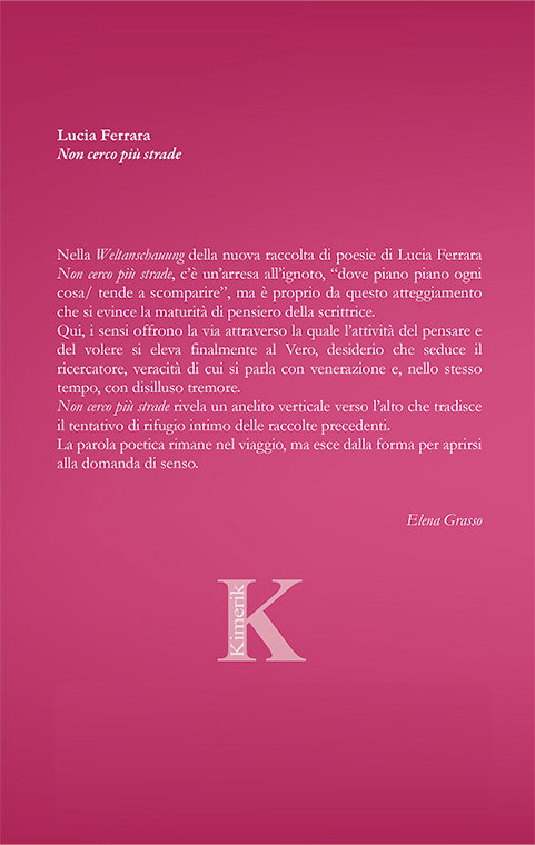 Quarta di copertina di Non cerco più strade