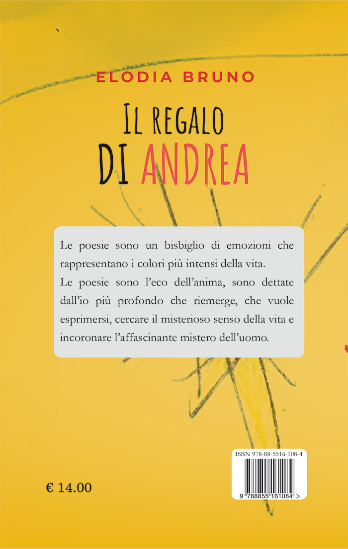 Quarta di copertina di Il regalo di Andrea