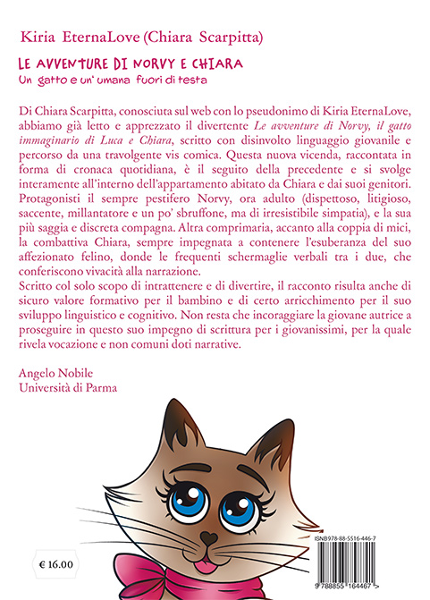 Quarta di copertina di Le avventure di Norvy e Chiara