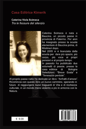 Quarta di copertina di Tra le fessure del silenzio