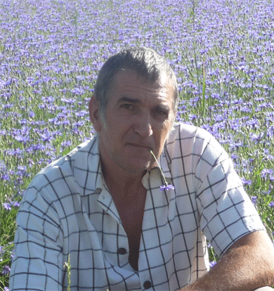 Massimo Alimenti
